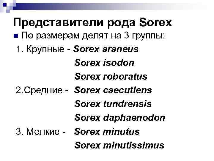 Представители рода Sorex По размерам делят на 3 группы: 1. Крупные - Sorex araneus