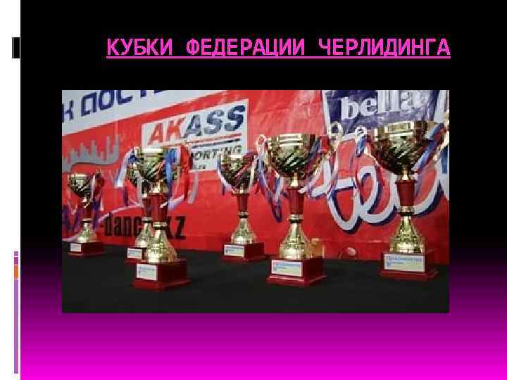 КУБКИ ФЕДЕРАЦИИ ЧЕРЛИДИНГА 