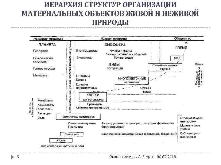 ИЕРАРХИЯ СТРУКТУР ОРГАНИЗАЦИИ МАТЕРИАЛЬНЫХ ОБЪЕКТОВ ЖИВОЙ И НЕЖИВОЙ ПРИРОДЫ 5 Основы химии. А. Згуро