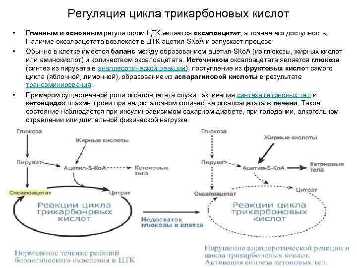 Карта метаболизма биохимия