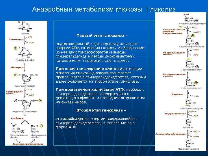 Активация глюкозы