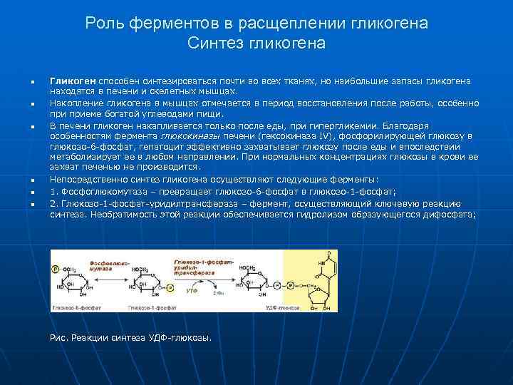 Углеводы биохимия