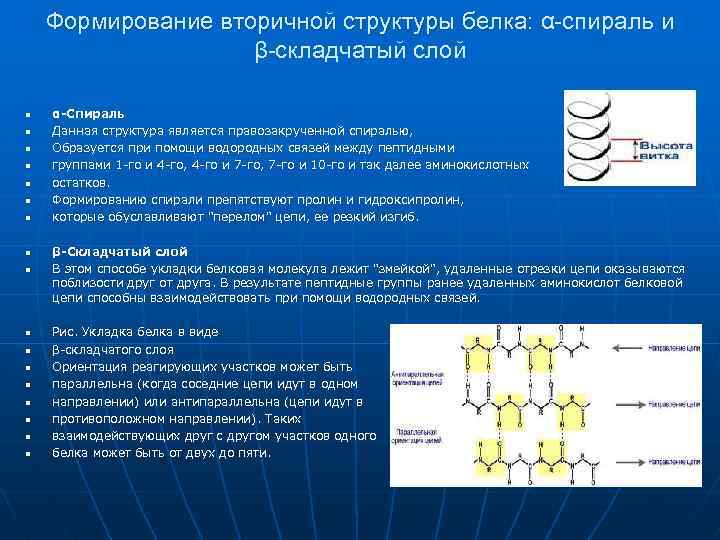 Химические свойства структуры белка