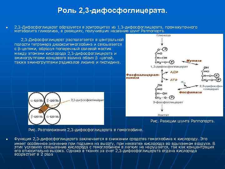 Биохимический обмен