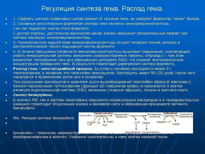 Скорость синтеза. Окисление гемоглобина. Регуляторные ферменты синтеза гема. Ферментативное окисление гемоглобина. Окисление железа в гемоглобине.