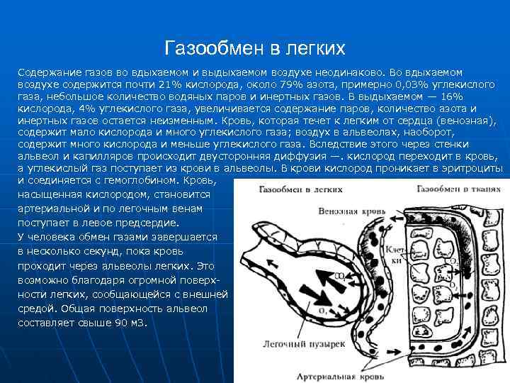 Легкое содержание