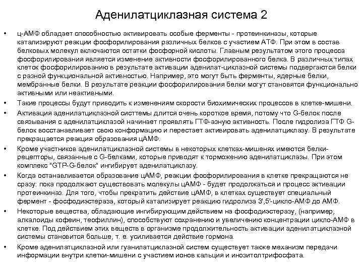 Аденилатциклазная система 2 • • ц-АМФ обладает способностью активировать особые ферменты - протеинкиназы, которые