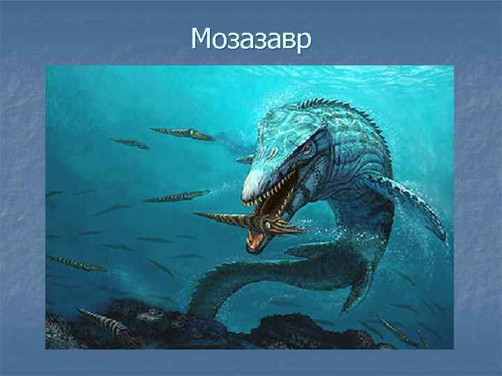 Морские динозавры фото с названиями