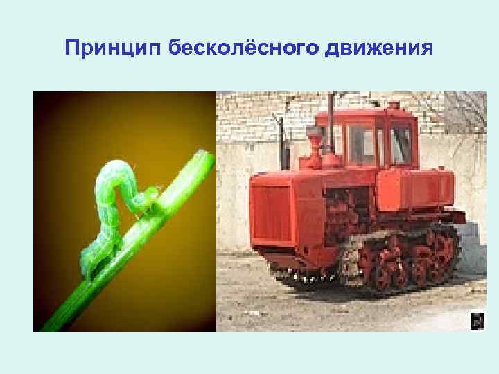 Принцип бесколёсного движения 