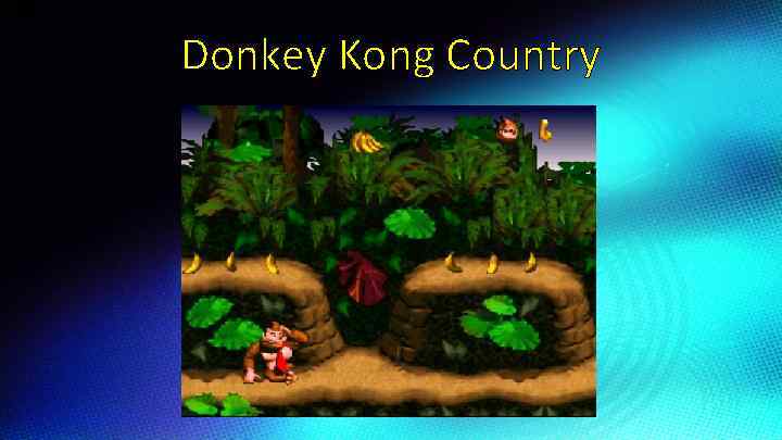 Donkey Kong Country 