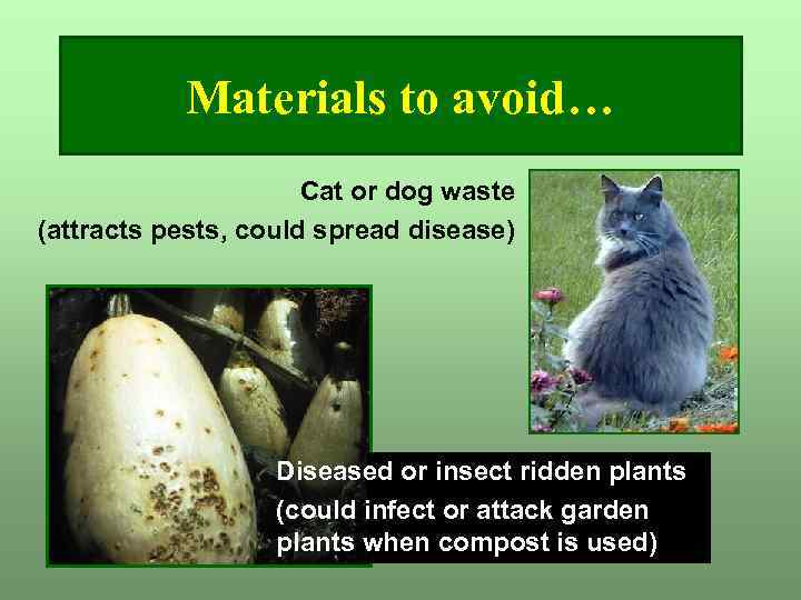 Materials to avoid… Cat or dog waste (attracts pests, could spread disease) Diseased or