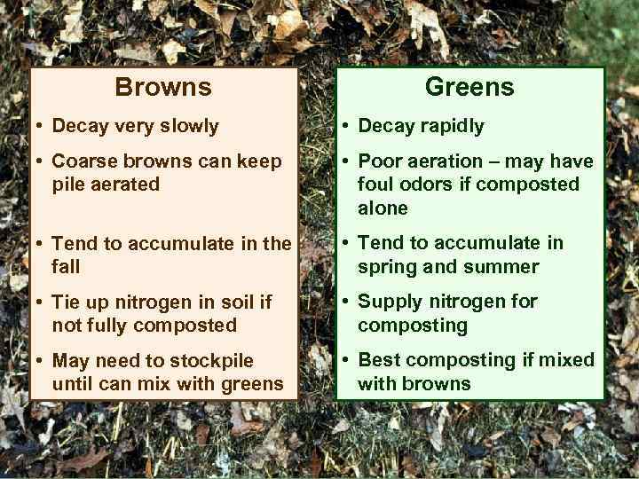 Browns Greens • Decay very slowly • Decay rapidly • Coarse browns can keep