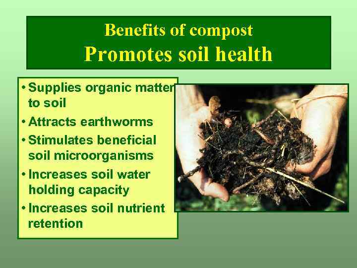 Benefits of compost Promotes soil health • Supplies organic matter to soil • Attracts