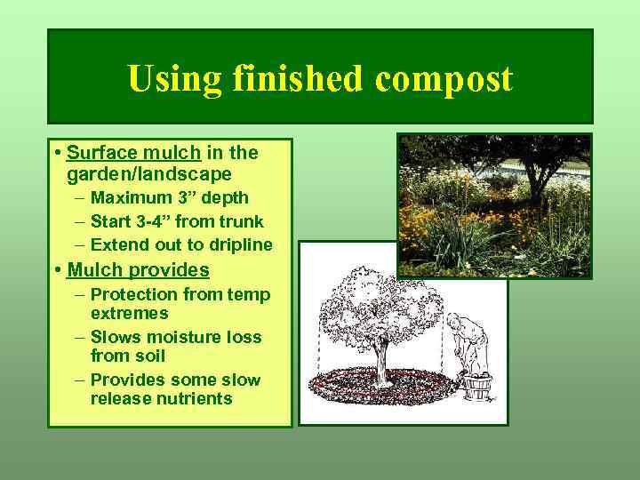 Using finished compost • Surface mulch in the garden/landscape – Maximum 3” depth –