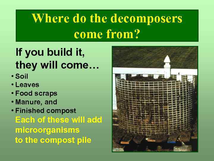 Where do the decomposers come from? If you build it, they will come… •