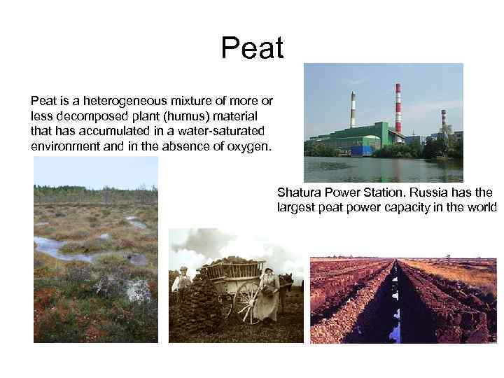 Peat is a heterogeneous mixture of more or less decomposed plant (humus) material that