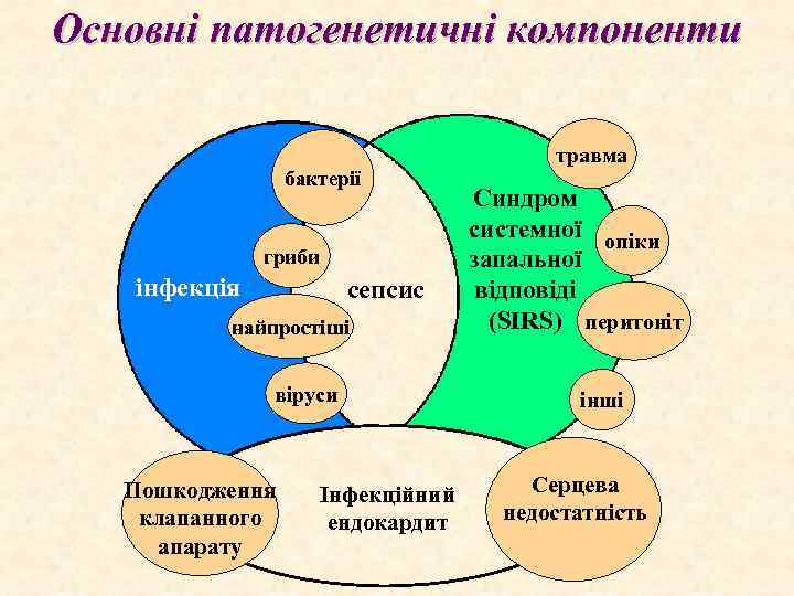 Основні патогенетичні компоненти травма бактерії гриби інфекція сепсис найпростіші віруси Пошкодження клапанного апарату Інфекційний