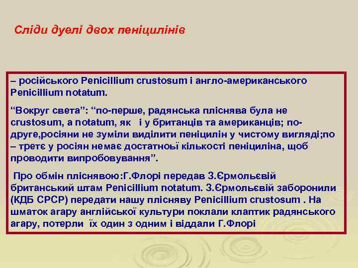Сліди дуелі двох пеніцилінів – російського Penicillium crustosum і англо-американського Penicillium notatum. “Вокруг света”:
