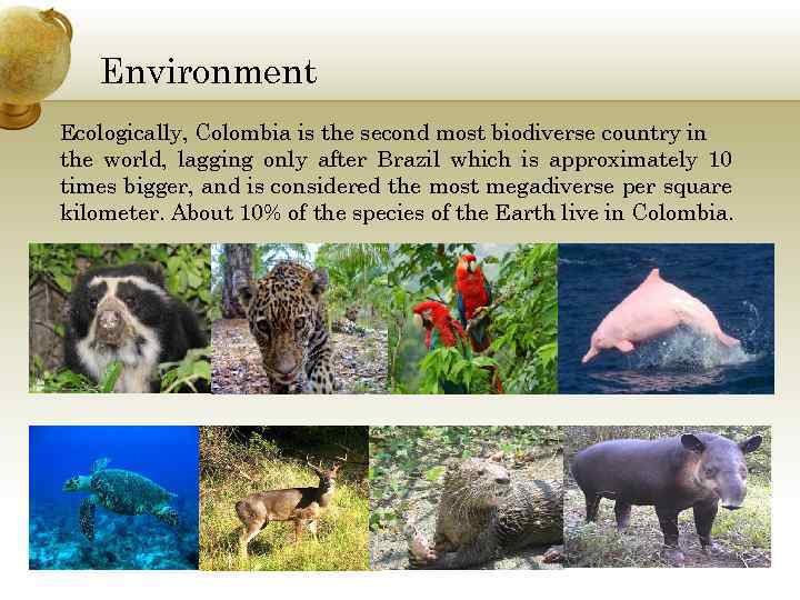 Environment Ecologically, Colombia is the second most biodiverse country in the world, lagging only