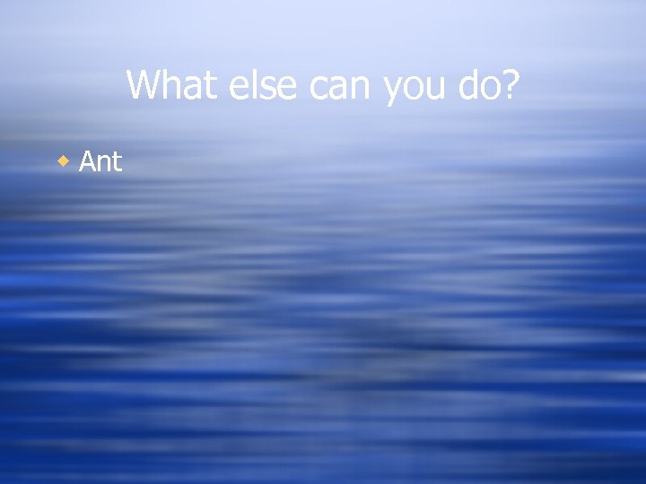 What else can you do? w Ant 