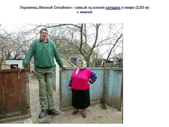 Украинец Леонид Стаднюк - самый высокий сегодня в мире (2, 53 м) с мамой