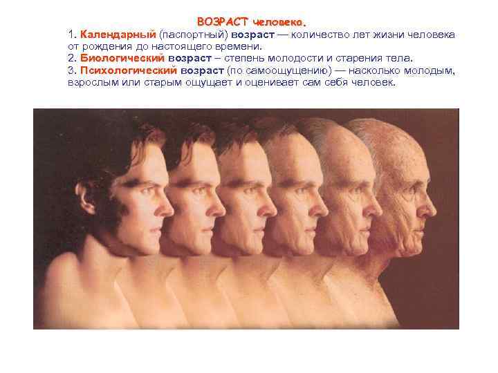  ВОЗРАСТ человека. 1. Календарный (паспортный) возраст — количество лет жизни человека Календарный от