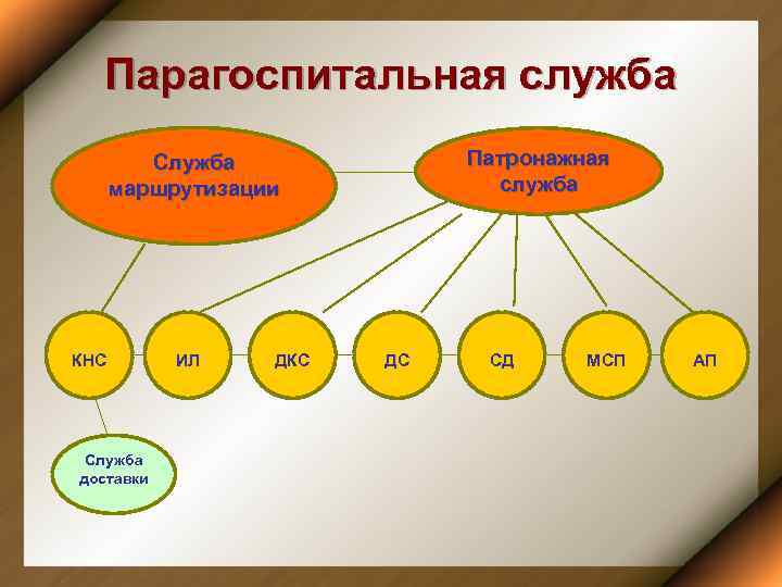 Парагоспитальная служба Патронажная служба Служба маршрутизации КНС Служба доставки ИЛ ДКС ДС СД МСП