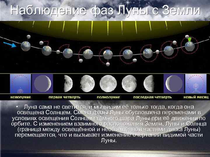 Наблюдение фаз Луны с Земли • Луна сама не светится, и мы видим её