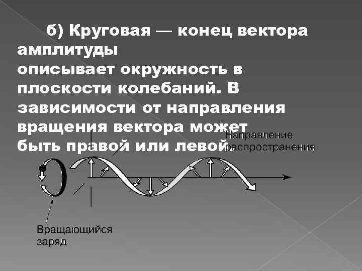 б) Круговая — конец вектора амплитуды описывает окружность в плоскости колебаний. В зависимости от