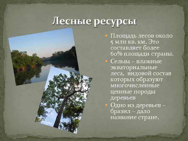 Лесные ресурсы Площадь лесов около 5 млн кв. км. Это составляет более 60% площади