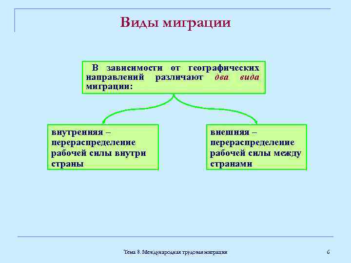 Виды миграции животных схема