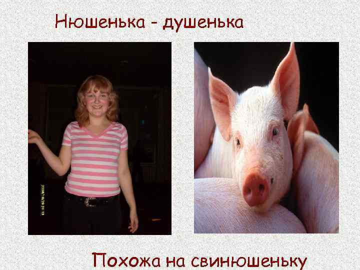 Нюшенька - душенька Похожа на свинюшеньку 