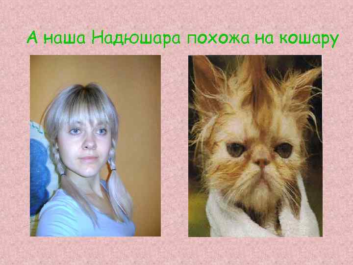 А наша Надюшара похожа на кошару 