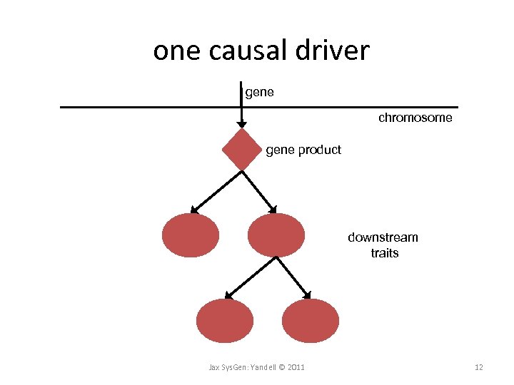one causal driver gene chromosome gene product downstream traits Jax Sys. Gen: Yandell ©