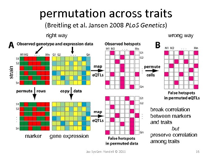 permutation across traits (Breitling et al. Jansen 2008 PLo. S Genetics) wrong way strain