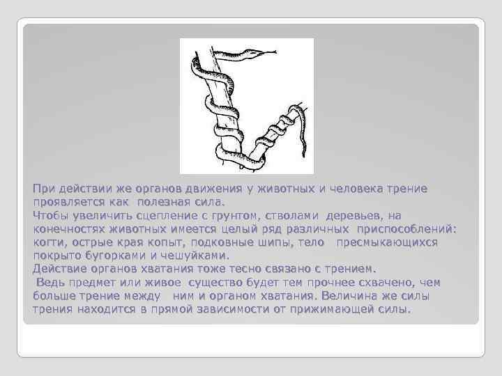 При действии же органов движения у животных и человека трение проявляется как полезная сила.