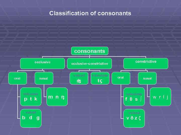 Classification of consonants occlusive oral voiced voiceless p t k voiced b d g