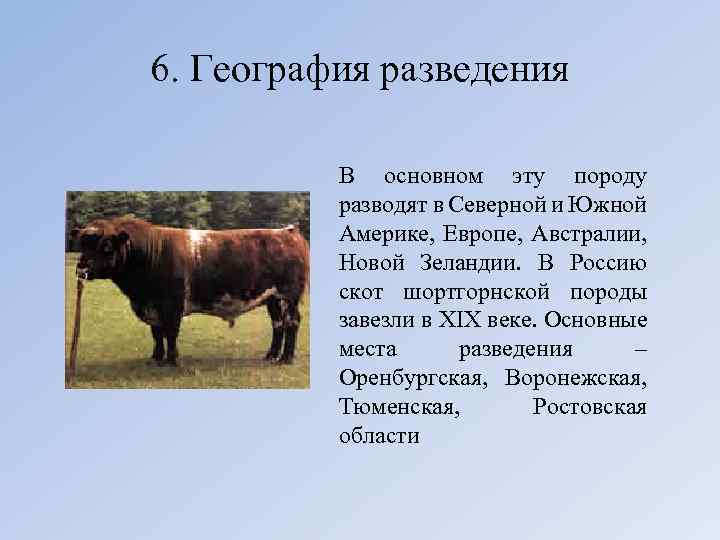 Какие породы разводят