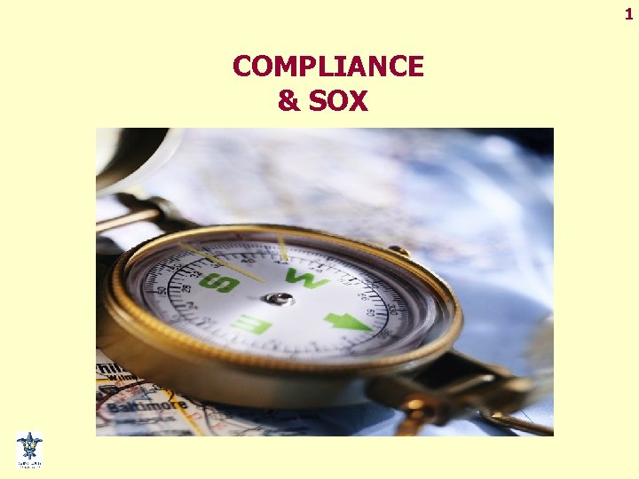 1 COMPLIANCE & SOX 