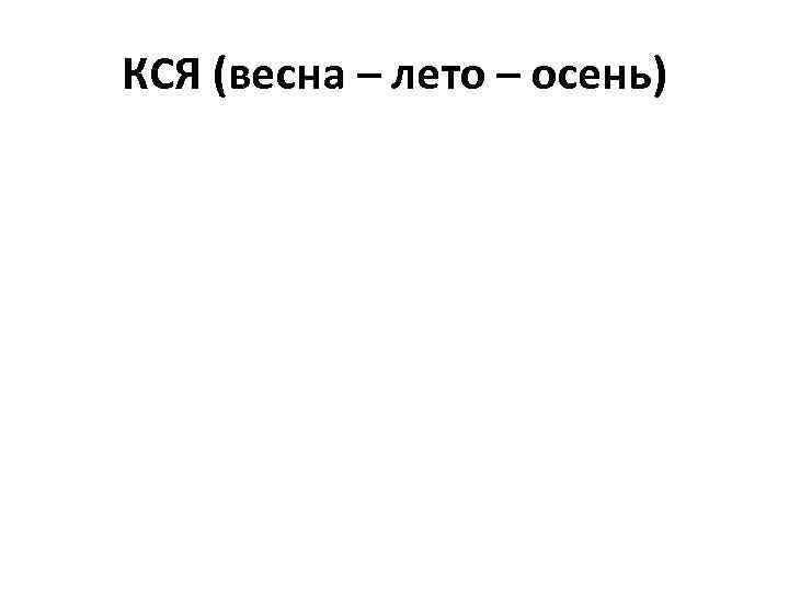 КСЯ (весна – лето – осень) 