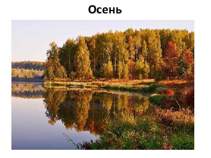 Осень 