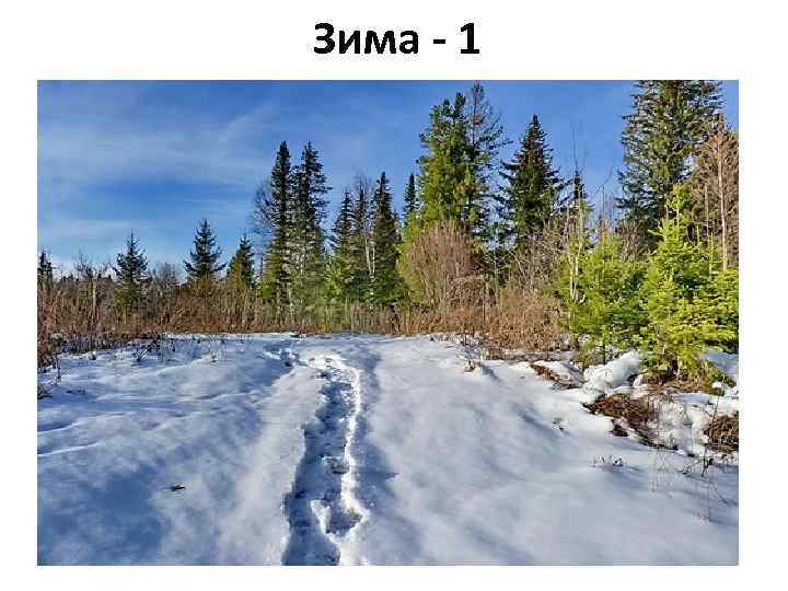 Зима - 1 