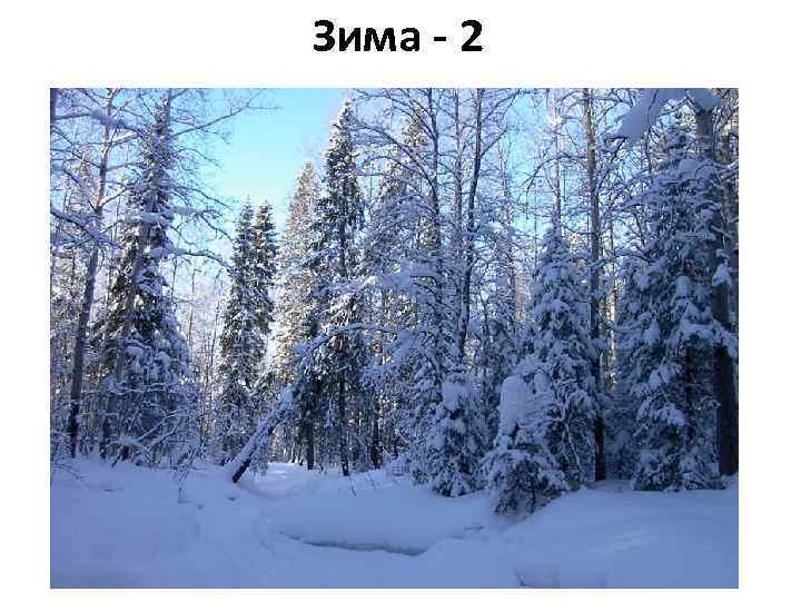 Зима - 2 