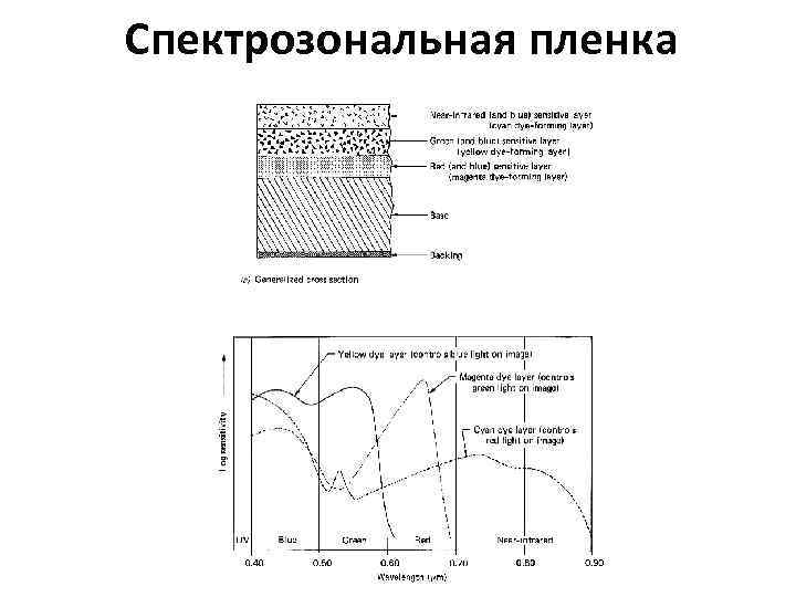 Спектрозональная пленка 