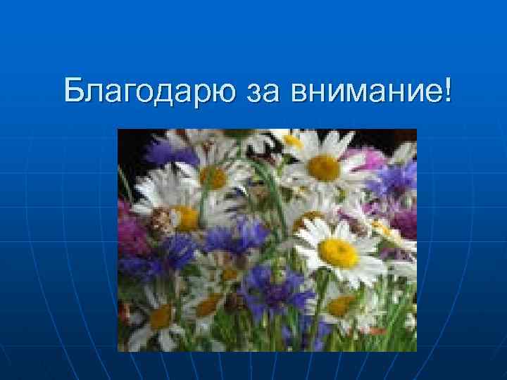 Благодарю за внимание! 