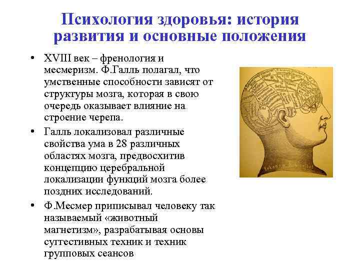 Психология здоровья: история развития и основные положения • XVIII век – френология и месмеризм.