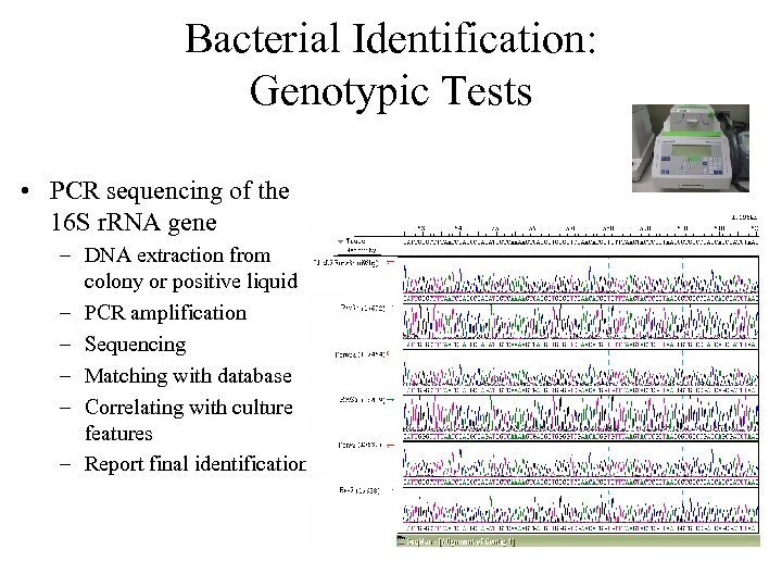 Bacterial Identification: Genotypic Tests • PCR sequencing of the 16 S r. RNA gene