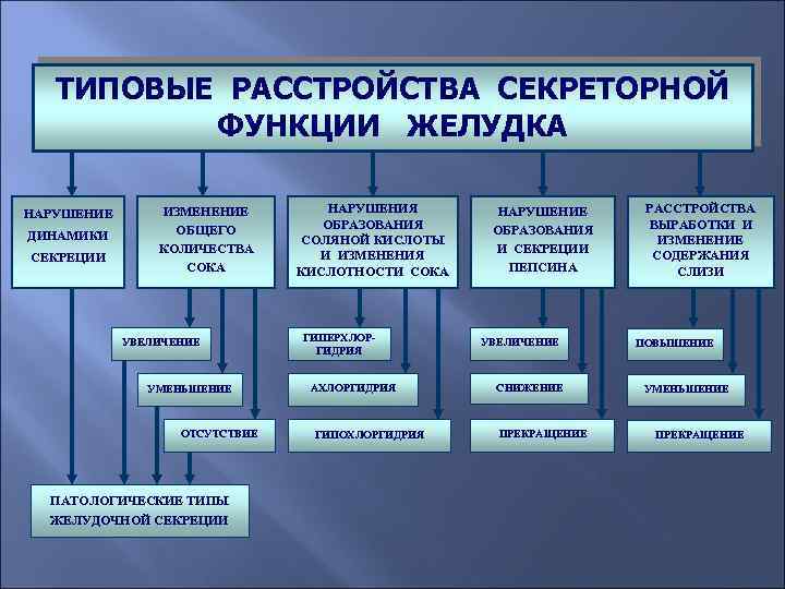 Игма патофизиология план