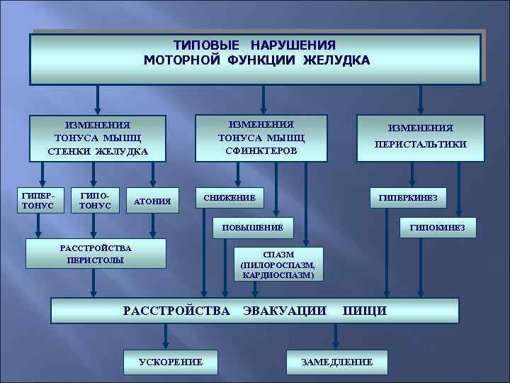 ТИПОВЫЕ НАРУШЕНИЯ МОТОРНОЙ ФУНКЦИИ ЖЕЛУДКА ИЗМЕНЕНИЯ ТОНУСА МЫШЦ СТЕНКИ ЖЕЛУДКА ГИПЕРТОНУС ГИПОТОНУС АТОНИЯ ИЗМЕНЕНИЯ