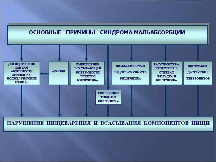 ОСНОВНЫЕ ПРИЧИНЫ СИНДРОМА МАЛЬАБСОРБЦИИ ДЕФИЦИТ И/ИЛИ НИЗКАЯ АКТИВНОСТЬ ФЕРМЕНТОВ ПОДЖЕЛУДОЧНОЙ ЖЕЛЕЗЫ АХОЛИЯ УМЕНЬШЕНИЕ ВСАСЫВАЮЩЕЙ